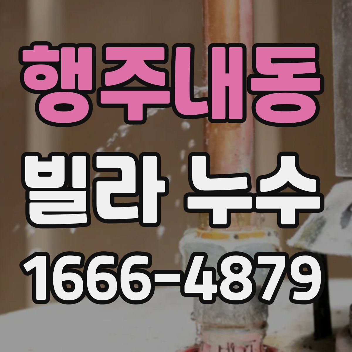 행주내동 빌라 누수