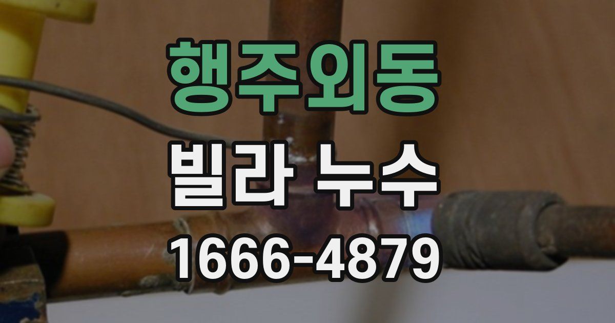 행주외동 빌라 누수