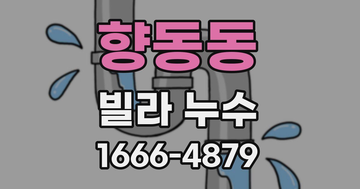 향동동 빌라 누수