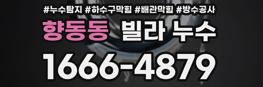 향동동 빌라 누수