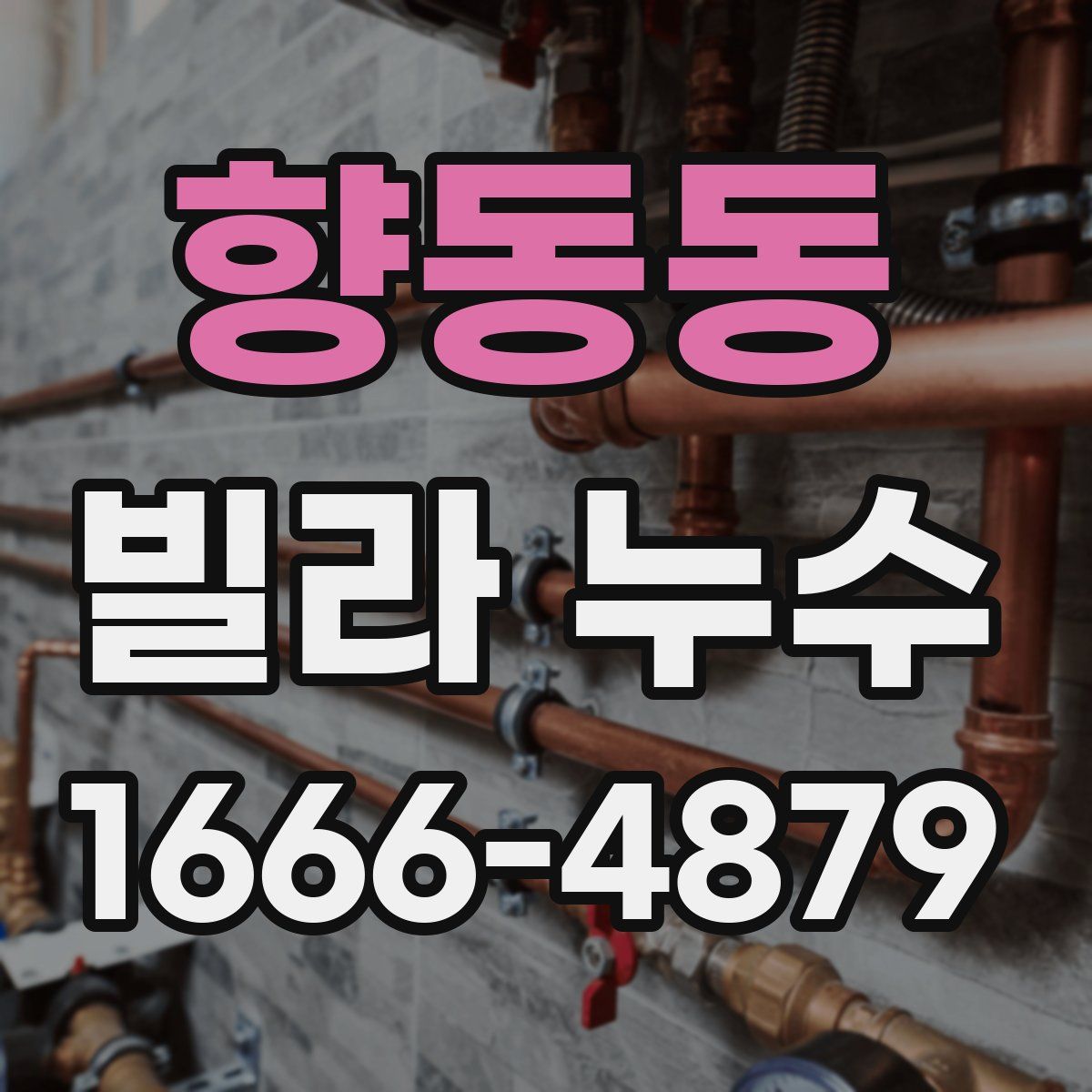 향동동 빌라 누수