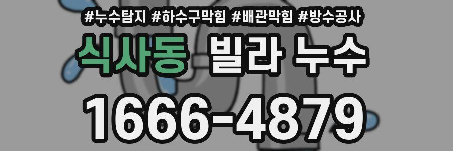 식사동 빌라 누수