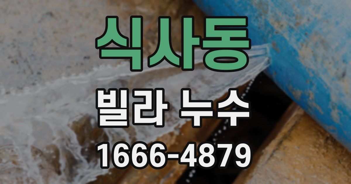 식사동 빌라 누수