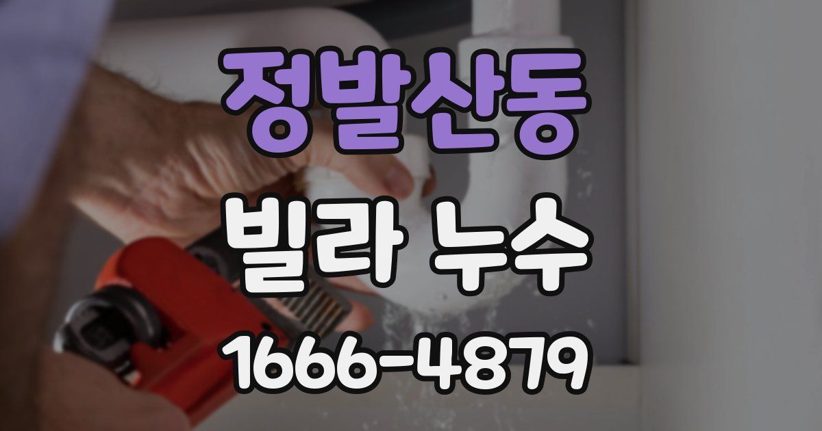 정발산동 빌라 누수