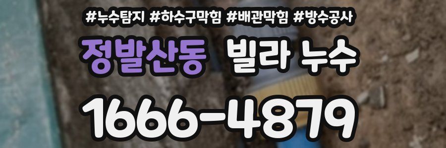 정발산동 빌라 누수