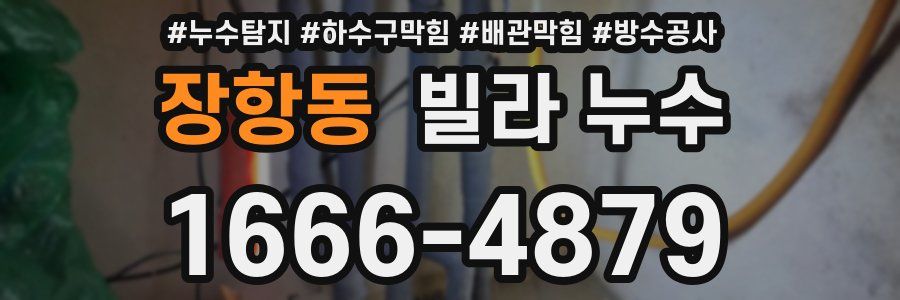 장항동 빌라 누수