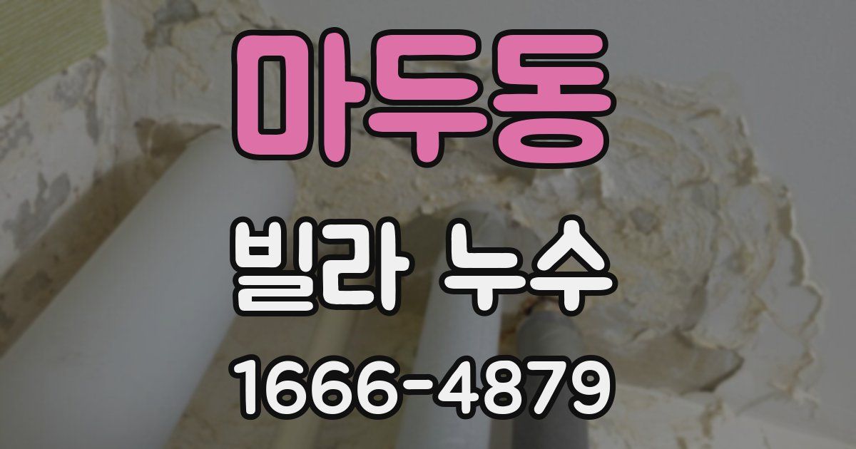 마두동 빌라 누수