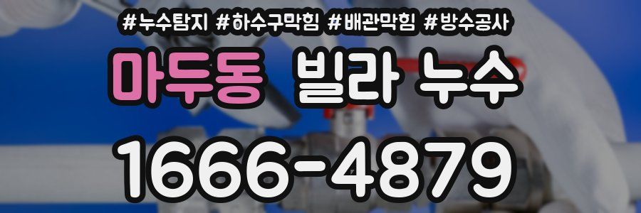 마두동 빌라 누수