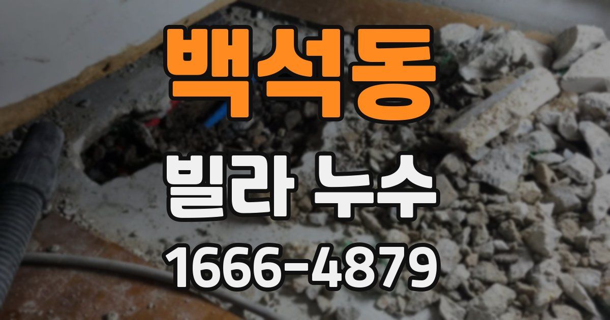 백석동 빌라 누수