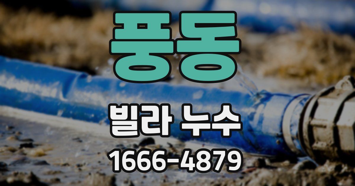 풍동 빌라 누수