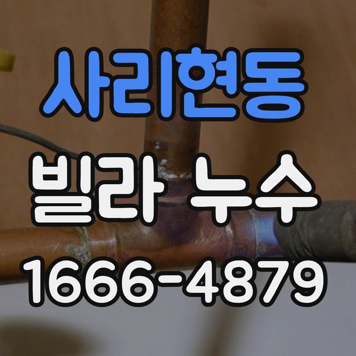 사리현동 빌라 누수