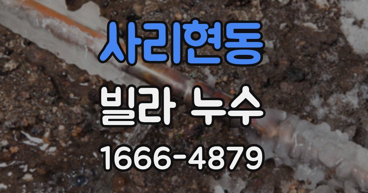 사리현동 빌라 누수