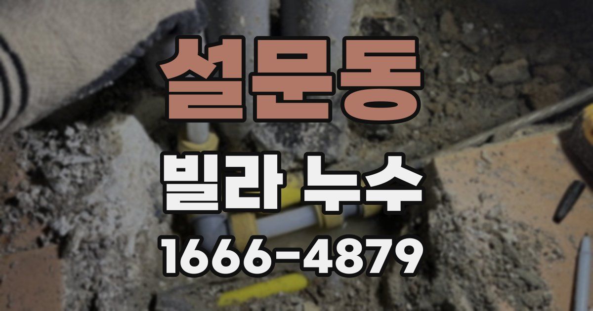 설문동 빌라 누수