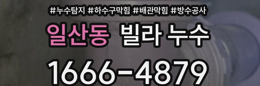 일산동 빌라 누수