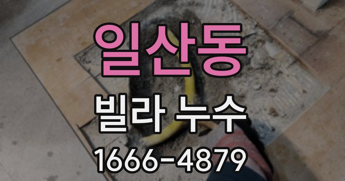 일산동 빌라 누수