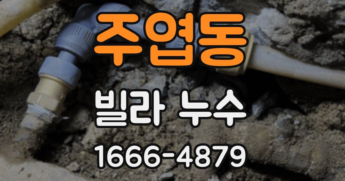 주엽동 빌라 누수