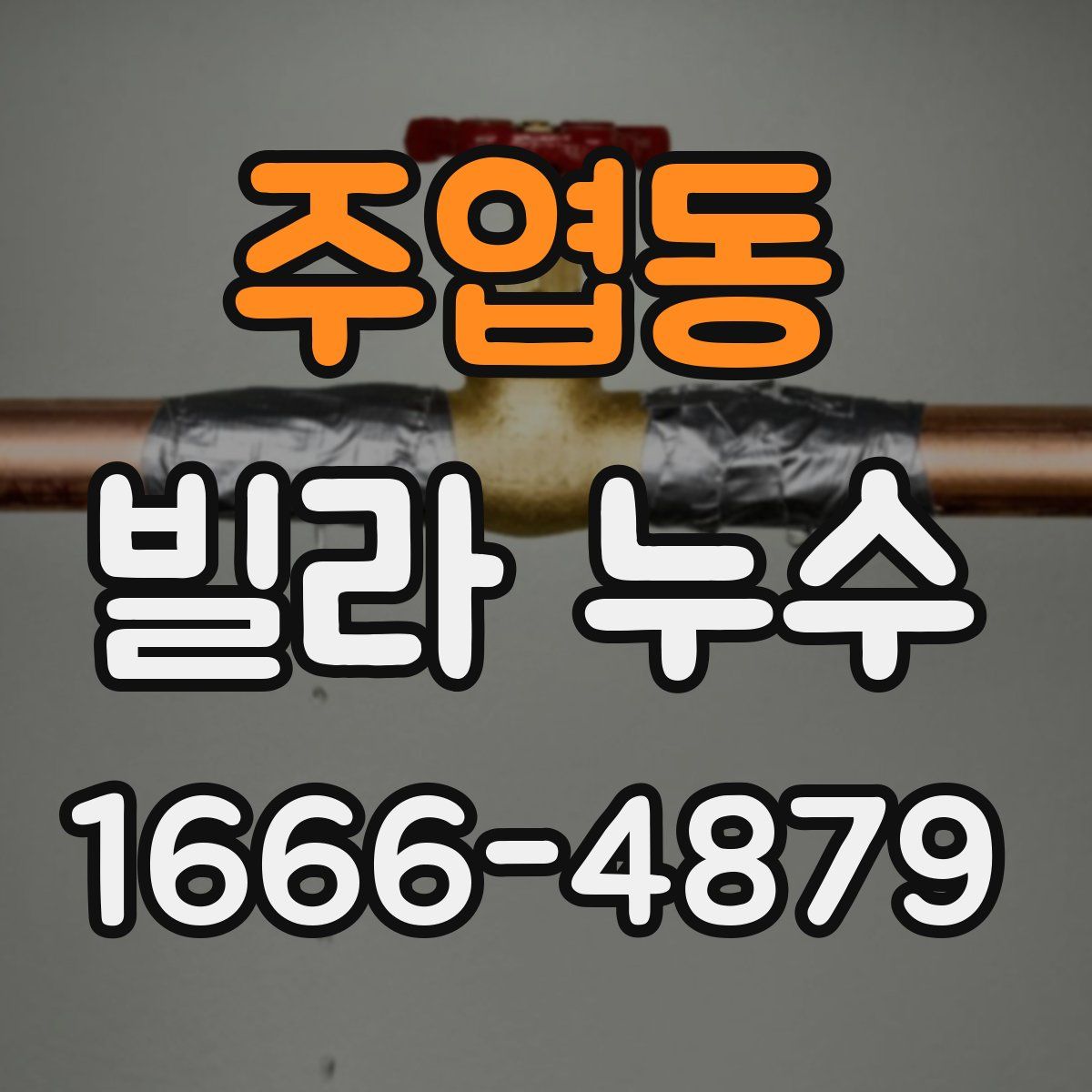 주엽동 빌라 누수