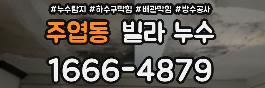 주엽동 빌라 누수