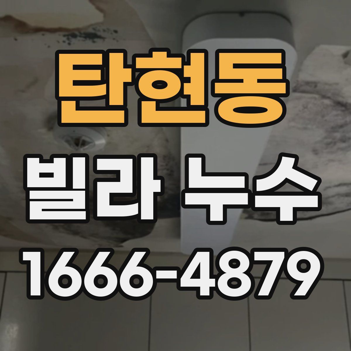 탄현동 빌라 누수
