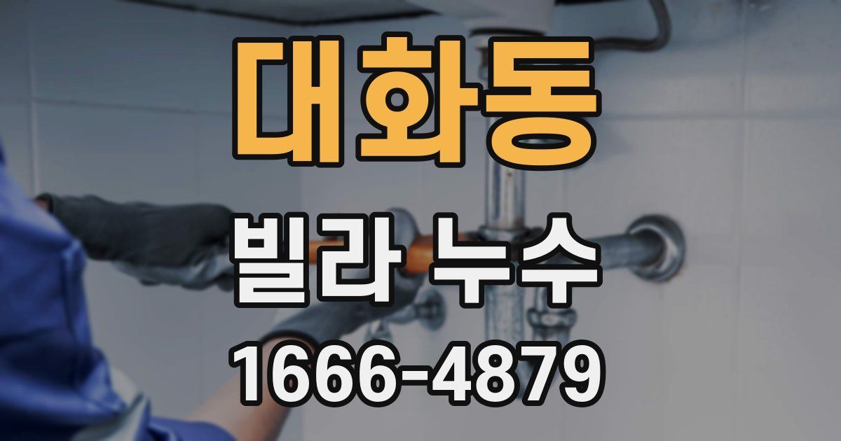 대화동 빌라 누수