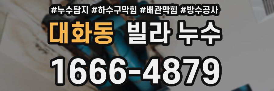 대화동 빌라 누수