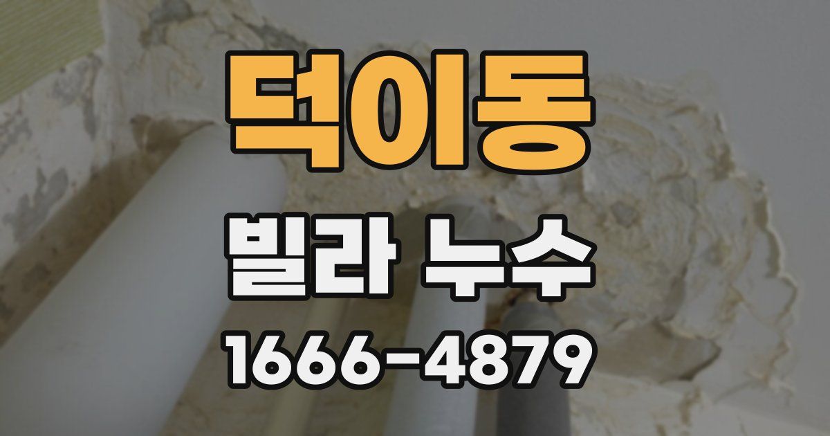 덕이동 빌라 누수
