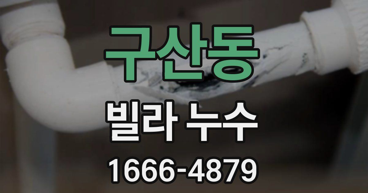 구산동 빌라 누수