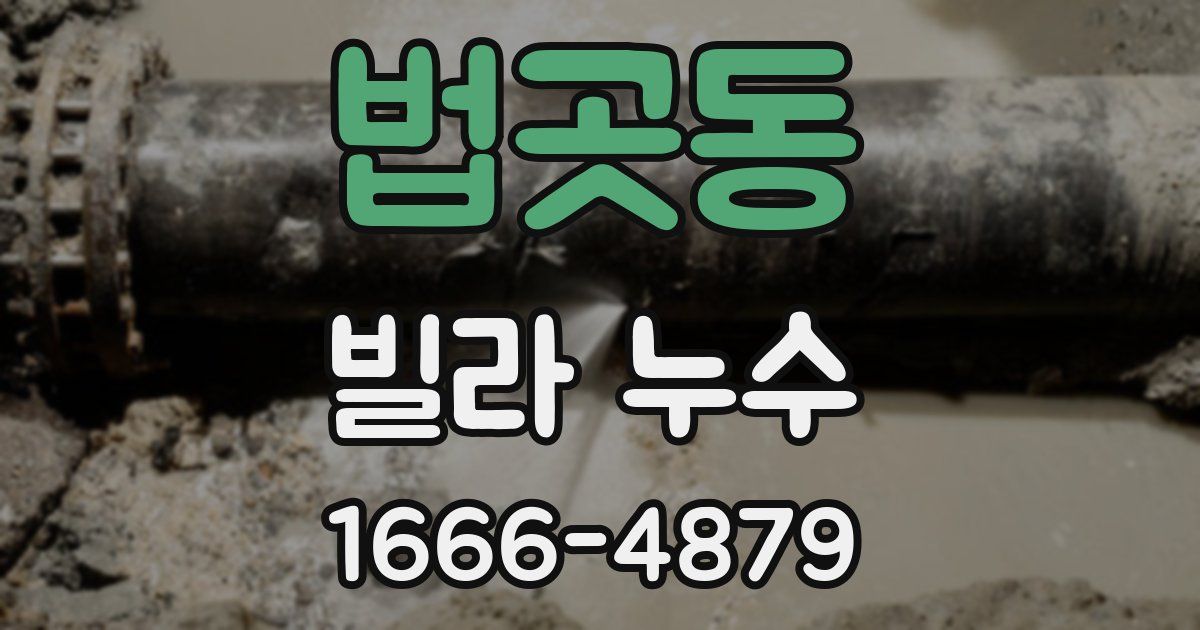 법곳동 빌라 누수