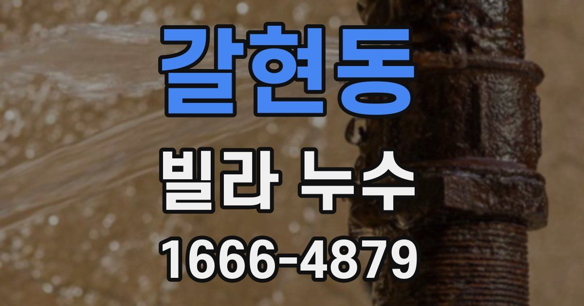 갈현동 빌라 누수