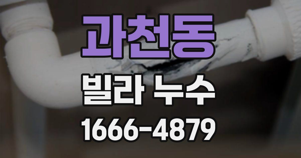 과천동 빌라 누수
