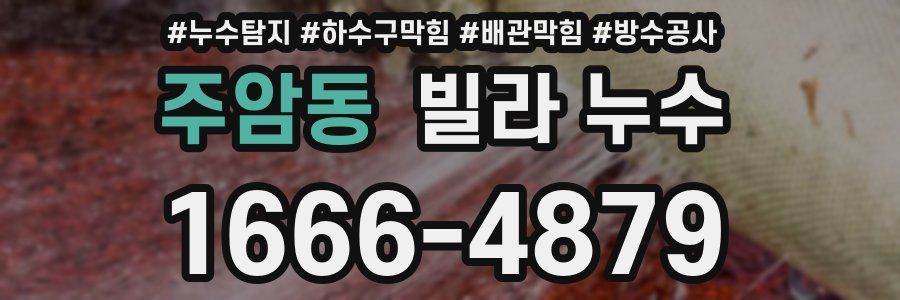 주암동 빌라 누수