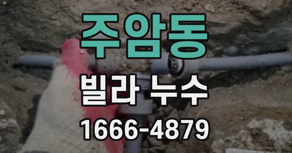 주암동 빌라 누수
