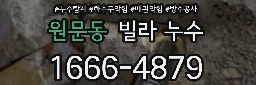 원문동 빌라 누수