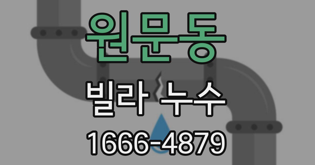 원문동 빌라 누수
