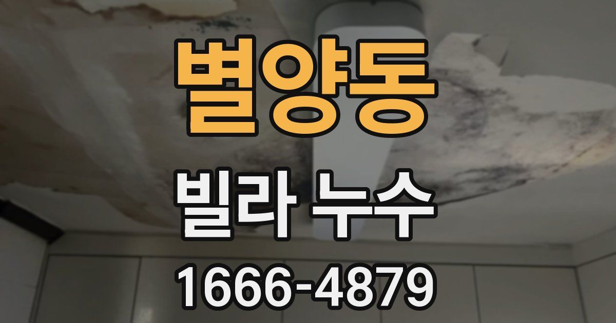 별양동 빌라 누수