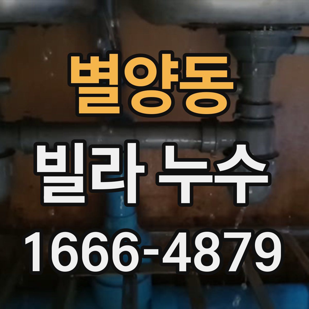 별양동 빌라 누수