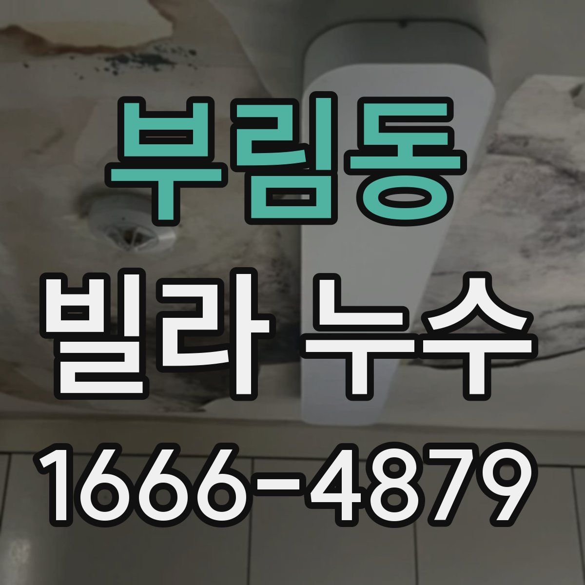 부림동 빌라 누수