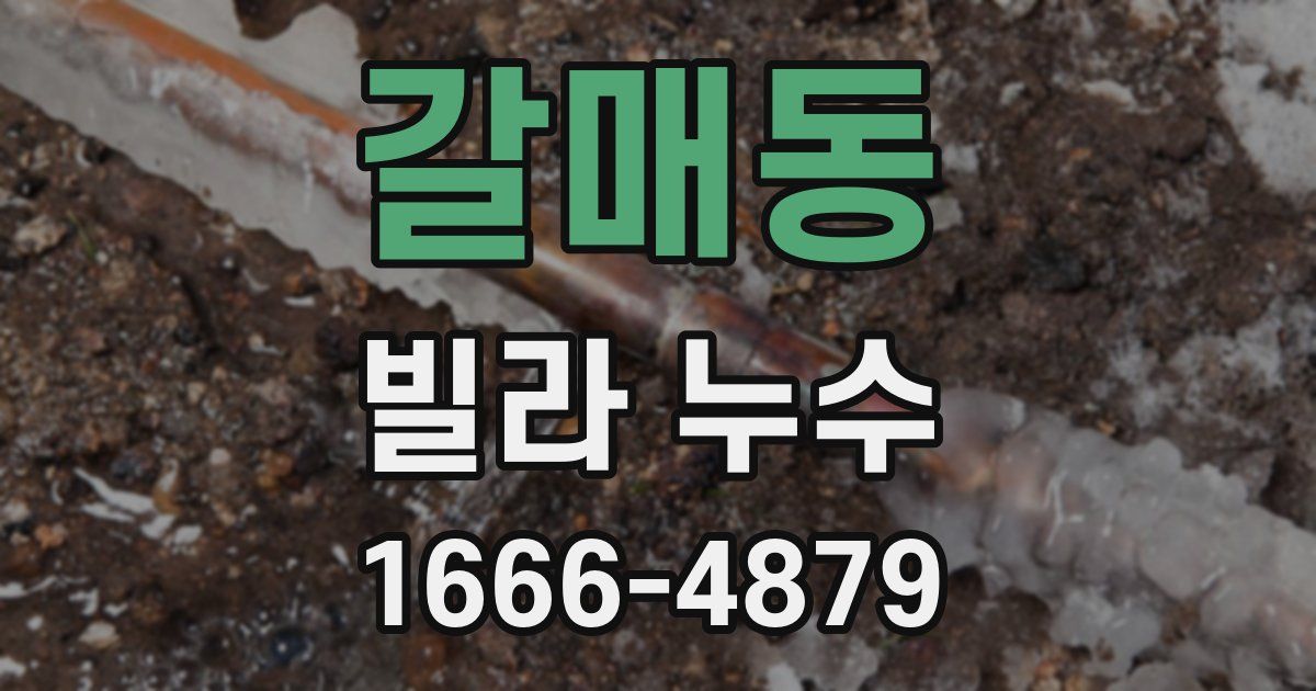 갈매동 빌라 누수