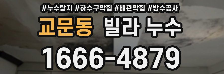 교문동 빌라 누수