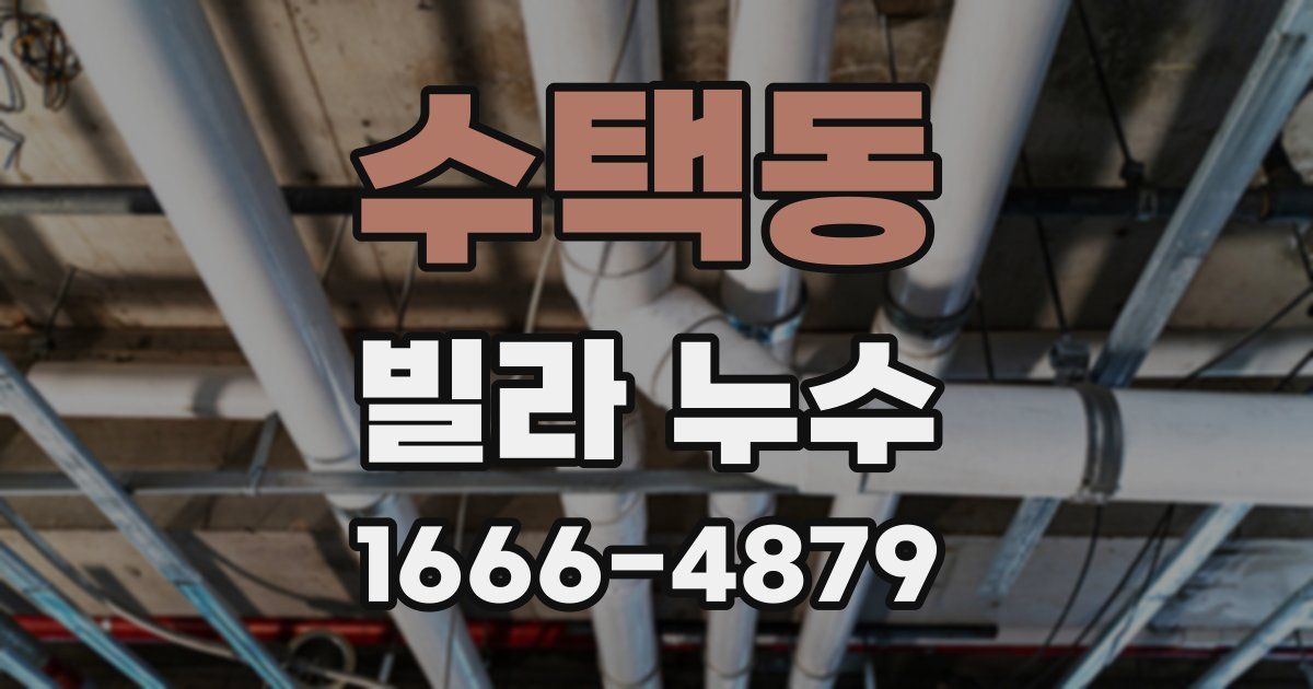 수택동 빌라 누수
