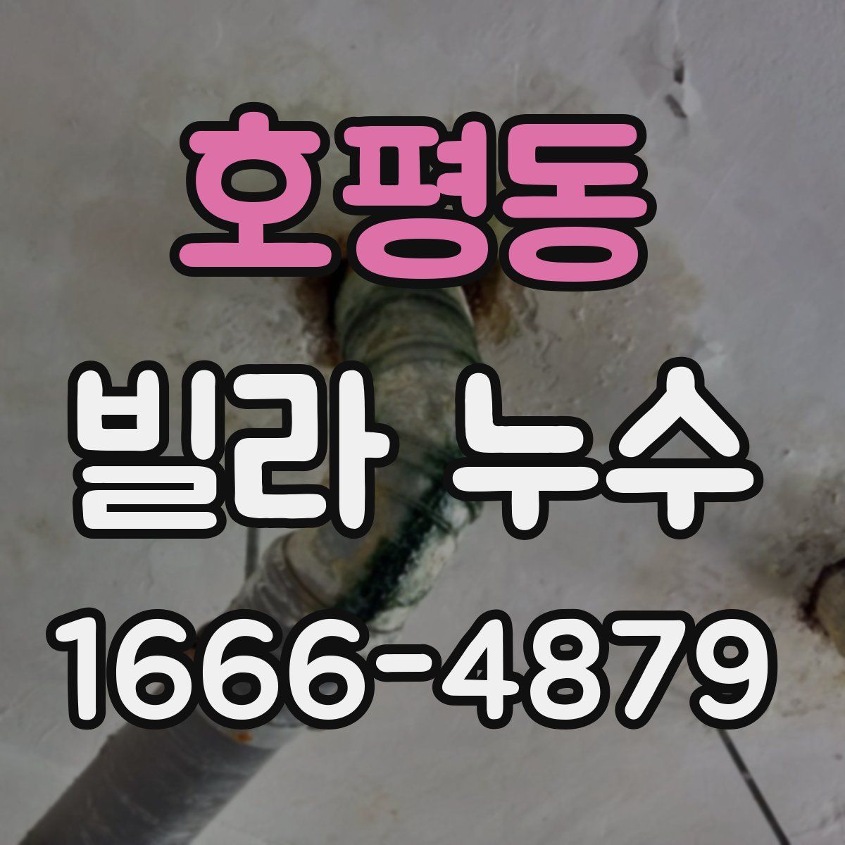 호평동 빌라 누수