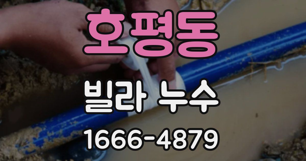 호평동 빌라 누수