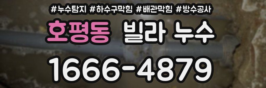 호평동 빌라 누수