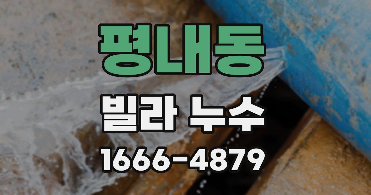 평내동 빌라 누수