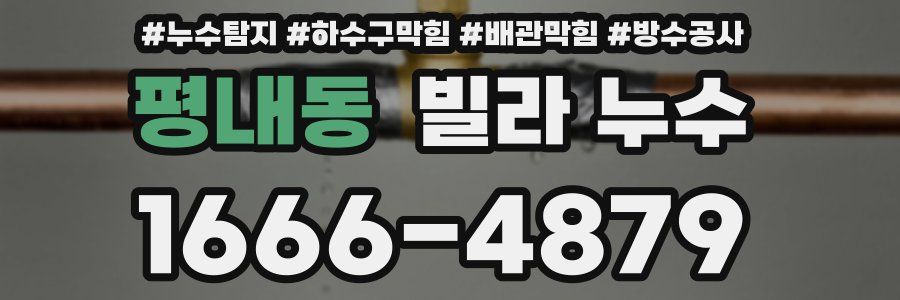 평내동 빌라 누수
