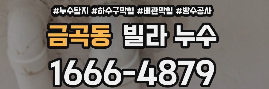 금곡동 빌라 누수