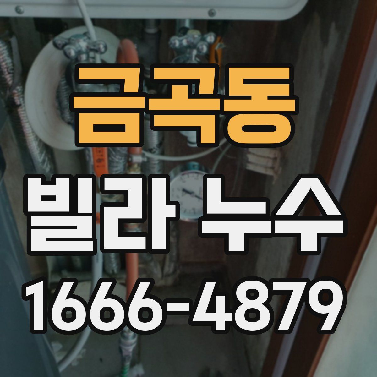 금곡동 빌라 누수