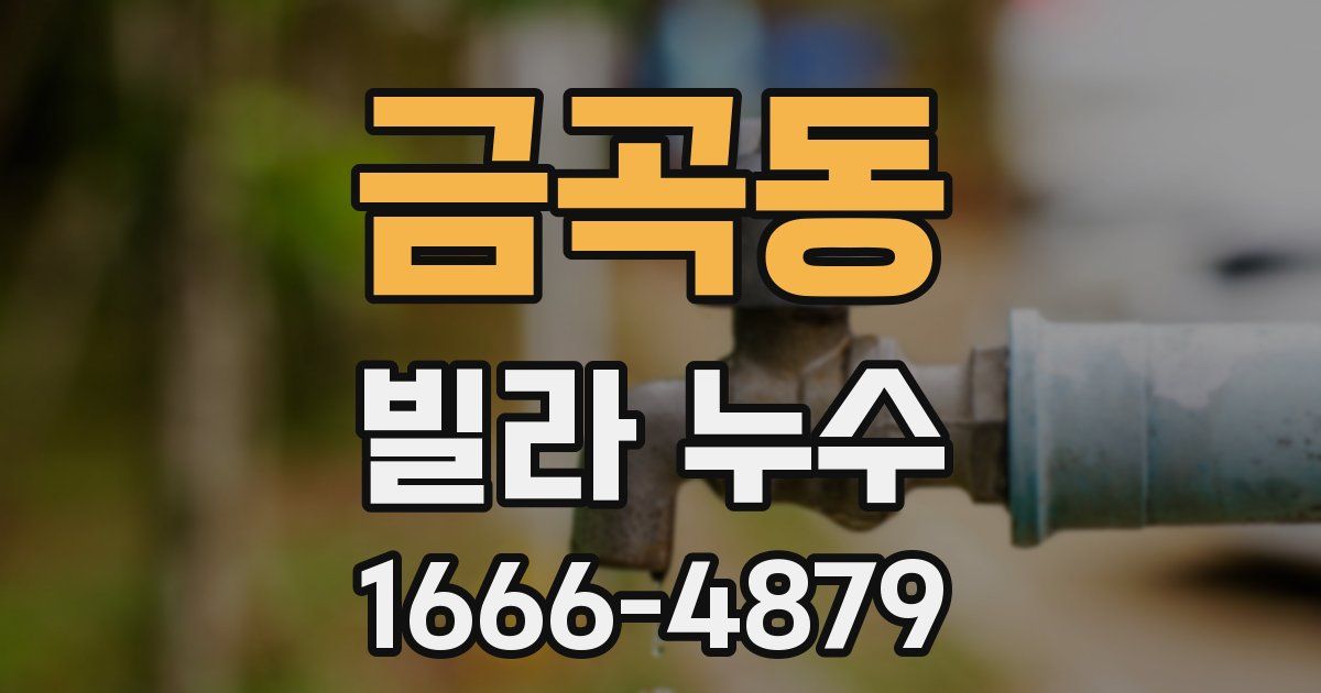 금곡동 빌라 누수
