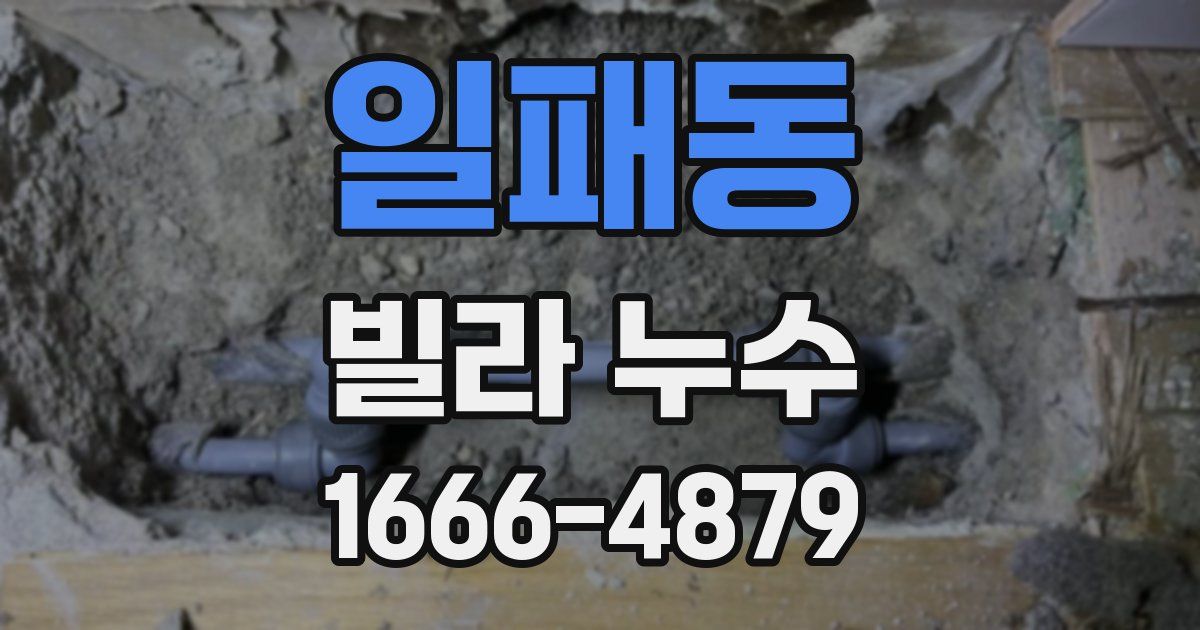 일패동 빌라 누수