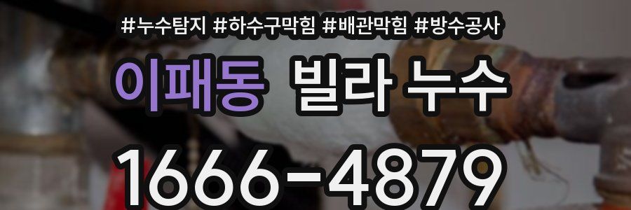 이패동 빌라 누수
